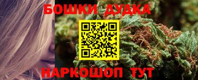 бошки Новокубанск