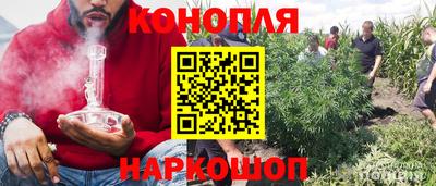 дживик Новозыбков