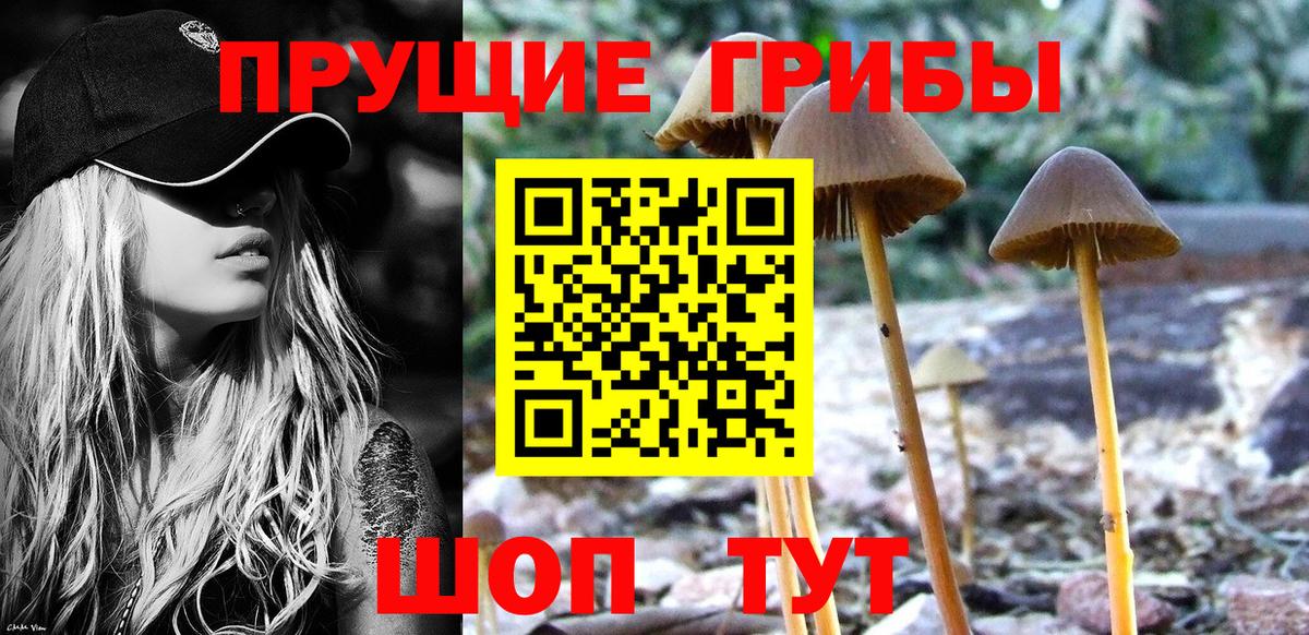 Соль-Илецк  Галлюциногенные грибы мицелий  Вход с VPN  дарнет шоп  Галлюциногенные грибы GOLDEN TEACHER 