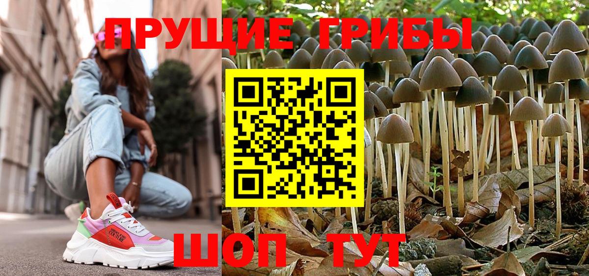 Галлюциногенные грибы Psilocybine cubensis Соль-Илецк